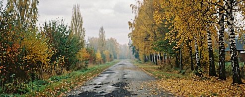 Дождь со снегом и ночные заморозки: прогноз для Аркадакского района на выходные