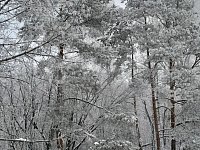 После тёплых выходных аркадакцев ждёт резкое похолодание 