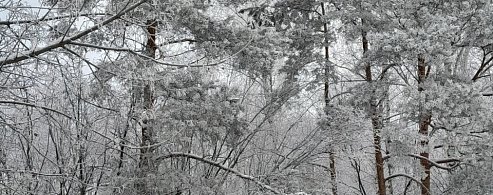 После тёплых выходных аркадакцев ждёт резкое похолодание 