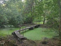В Новосельском назвали победителей фотоконкурса