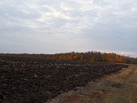 Осенняя зябь гарантирует хороший урожай на будущий год