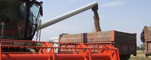 На полях района  продолжаются уборочные работы 