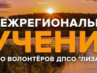 Саратовцев приглашают принять участие в межрегиональных учениях добровольческого поисково‑спасательного отряда «ЛизаАлерт»