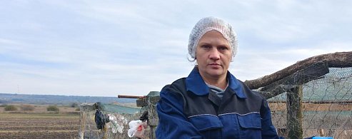 Аркадакская ветеринарная служба напоминает о маркировании и учете сельскохозяйственных животных