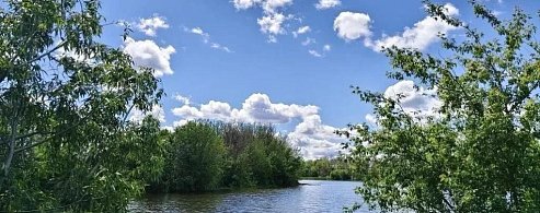 Жаркие выходные и снижение температуры в начале недели: прогноз для Аркадакского района