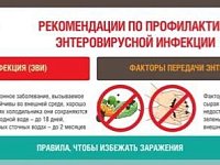 Горячая линия по вопросам профилактики энтеровирусной инфекции