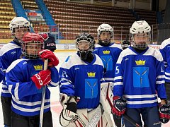 Саратовские хоккеистки поборются за «Хрустальную тиару»