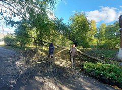 Коллектив Аркадакской ветслужбы активно включился в осеннее благоустройство территории