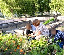 В Аркадаке успешно действует центр волонтёрской помощи «Точка с запятой» 