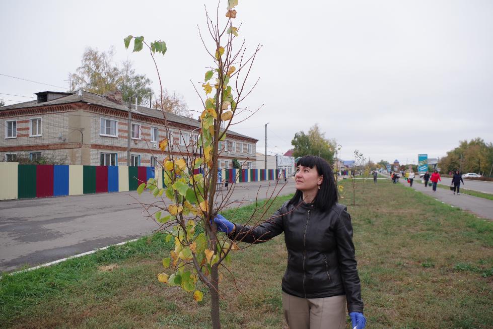 В липовой аллее печально