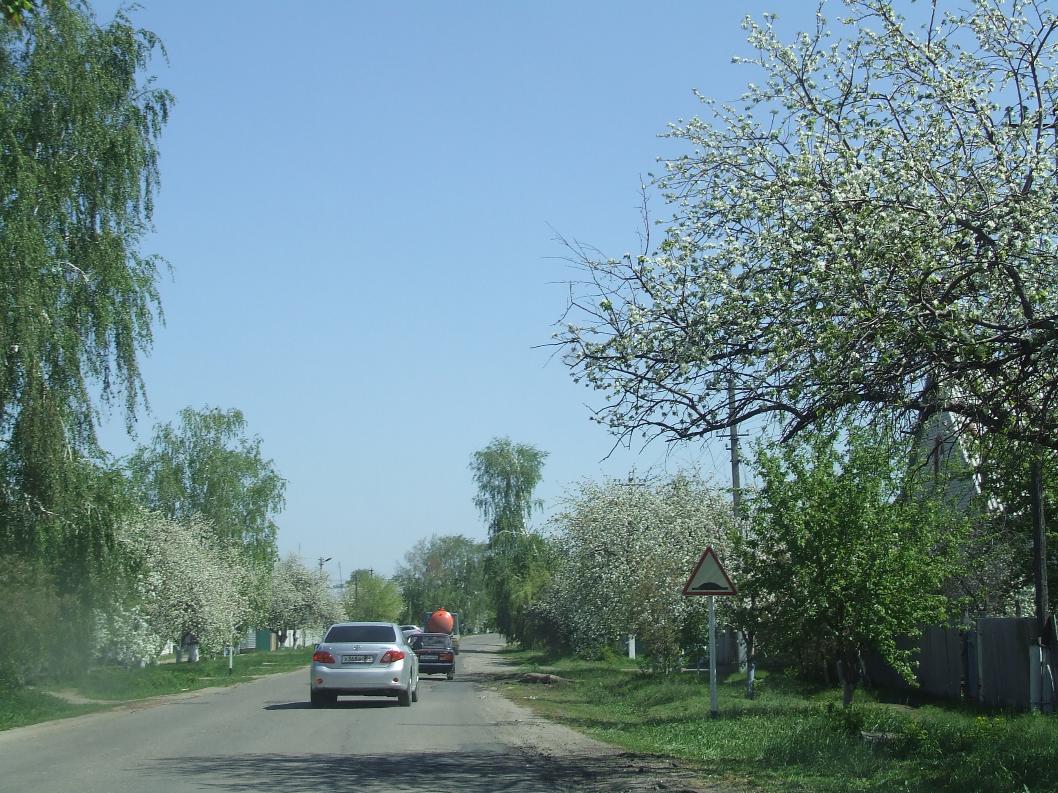 Умный город аркадак фото. Аркадак саратовская область. Саратовская область, аркадак, улица каплунова, 39. Что сейчас в аркадаке. Аркадак ленина.