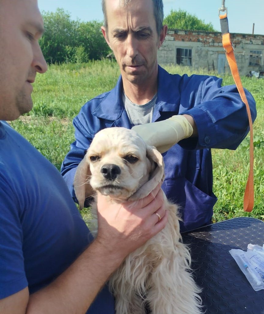 спани 1.jpg спани 1.jpg