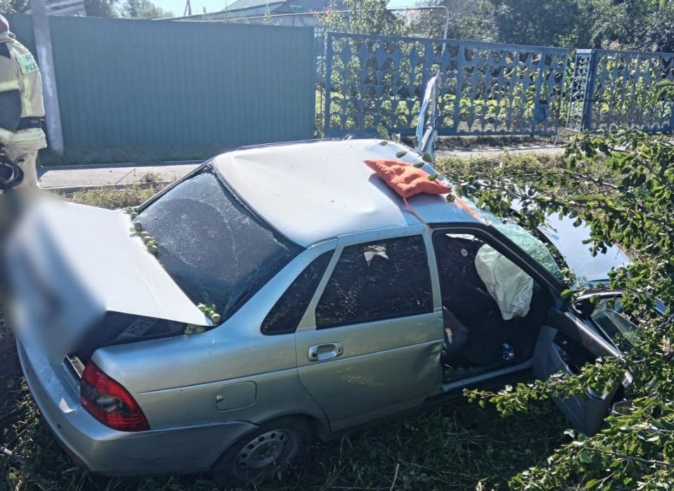 авав.jpg
