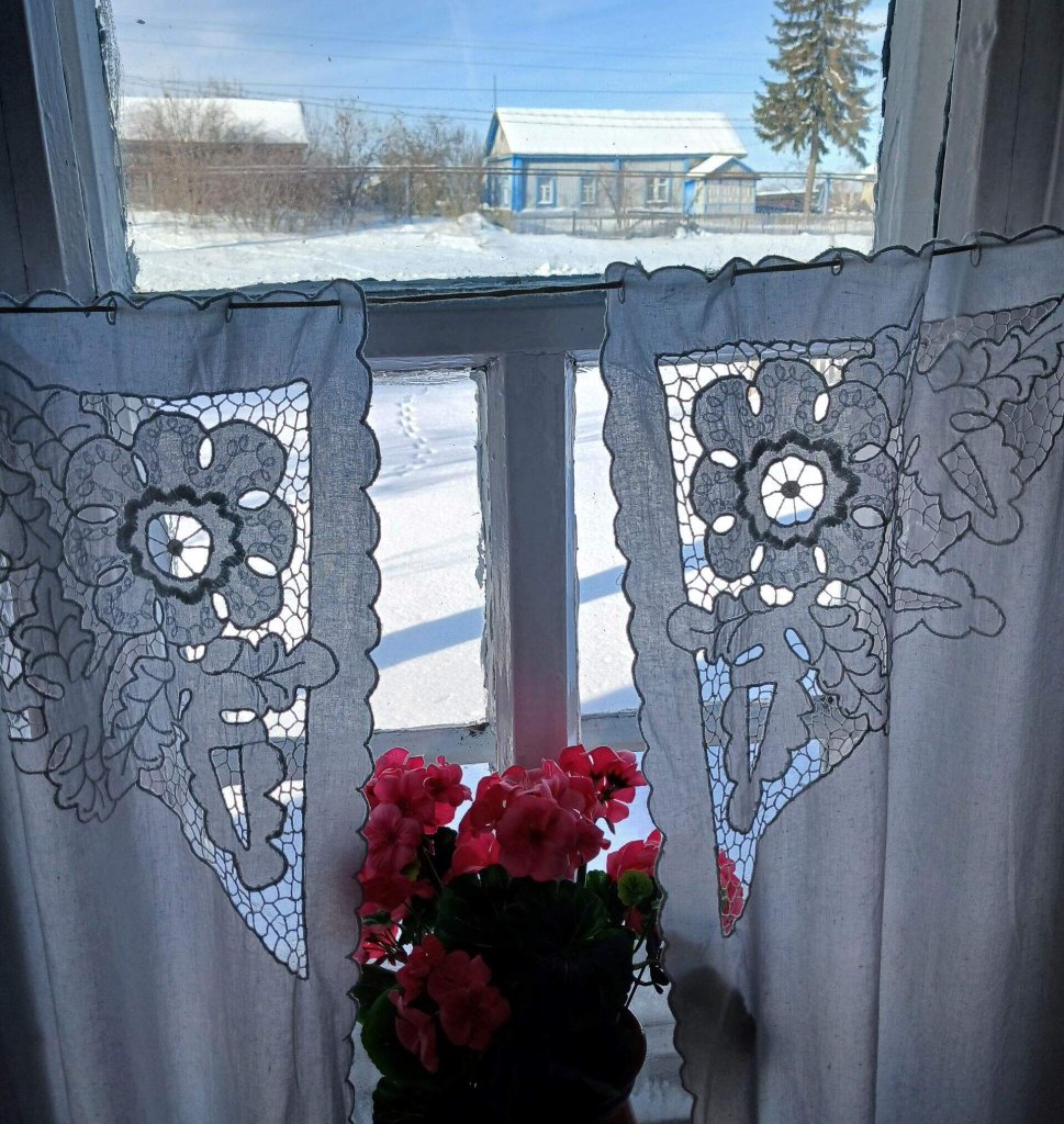 герань.jpg гера.jpg