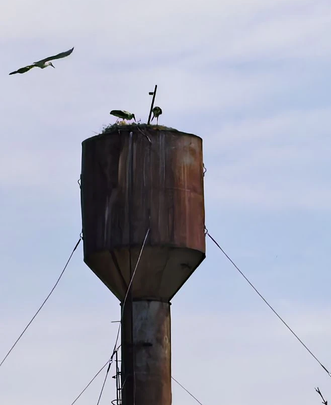 IMG_20260512_135611.png