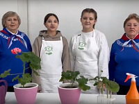 Аркадакские пенсионеры учатся блогингу у школьников