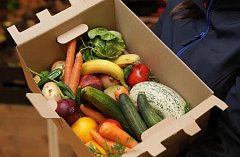 Аркадакцы собирают овощи для земляков-военнослужащих