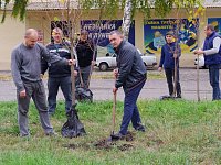 По инициативе депутата облдумы Василия Кравцова  в Аркадаке заложили липовую аллею 