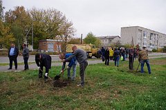 По инициативе депутата облдумы Василия Кравцова  в Аркадаке заложили липовую аллею 