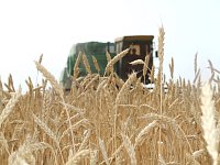 На полях района начались уборочные работы