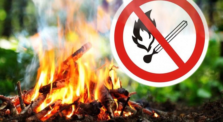В Аркадакском районе введён особый противопожарный режим