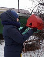 У школьников городской школы № 2 набирает обороты экологическая акция «Птицы – наши друзья»