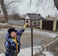 У школьников городской школы № 2 набирает обороты экологическая акция «Птицы – наши друзья»