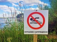 Административная комиссия Аркадакского муниципального района предупреждает: беспечное поведение на водном объекте таит в себе серьёзную опасность