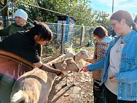 Аркадакские школьники узнали секреты успешного фермерства 