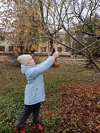 Аркадакцев научили делать экологические кормушки 