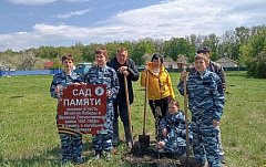 В Аркадакском районе скоро зацветут новые сады