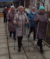 Палки для скандинавской ходьбы пользуются спросом