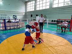 Турнир по боксу «Аркадакский ринг» стал праздником спорта и здоровья