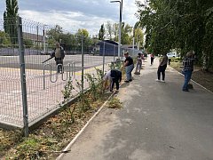 В Аркадаке месячник по благоустройству набирает обороты 