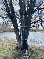 В заказнике «Центральный» разместили сделанные школьниками скворечники