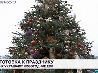На федеральном телеканале показали ель Саратовской области на выставке "Россия" на ВДНХ