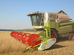 Земледельцы района продолжают убирать озимую пшеницу и ранние яровые зерновые культуры