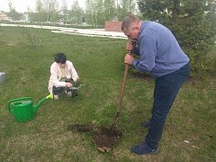 В эти погожие апрельские дни в сёлах Аркадакского района проходит акция "Сад памяти"