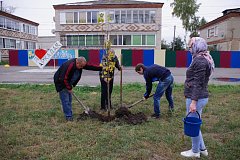 По инициативе депутата облдумы Василия Кравцова  в Аркадаке заложили липовую аллею 