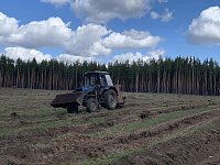  В Аркадакском районе активно идут весенние посадки леса