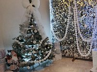 Волшебное время новогодних приготовлений наступило в Аркадаке