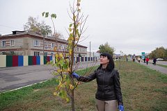 По инициативе депутата облдумы Василия Кравцова  в Аркадаке заложили липовую аллею 