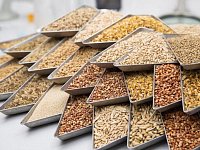 В Аркадакском районе ведутся приготовления к яровому севу