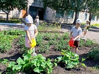 В „Солнышке“ малышей учат трудиться и познавать мир