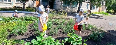 В „Солнышке“ малышей учат трудиться и познавать мир