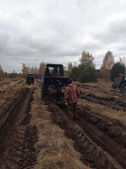 На территории 13,2 гектара Аркадакского лесничества этой осенью высадили более 40 тысяч сеянцев сосны, дуба и ясеня