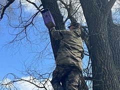 В заказнике «Центральный» разместили сделанные школьниками скворечники