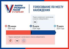 Голосуйте там, где удобно: начался прием заявлений для голосования по месту нахождения на выборах Президента России