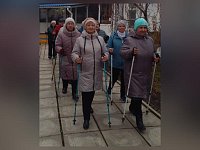 Палки для скандинавской ходьбы пользуются спросом
