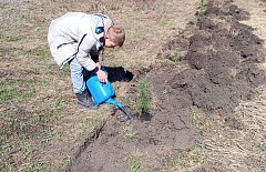 В Кистендее разбита аллея  Мира
